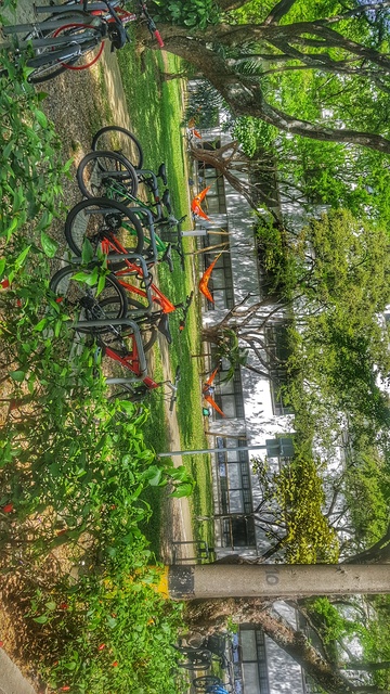 biciparqueaderos