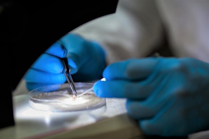 En el laboratorio de investigaciones de ciencias de la salud se realizan actividades de biología molecular con fines académicos e investigativos.