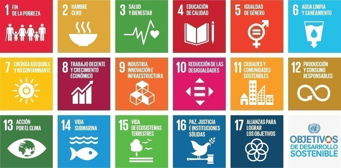 Cuadrícula con ícono y texto sobre los 17 objetivos de desarrollo sostenible