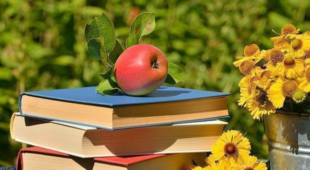 Sobre unos libros hay una manzana roja y al lado, se encuentra un balde metálico con unas flores amarillas y en la parte de  atrás, se ven muchas hojas verdes. 