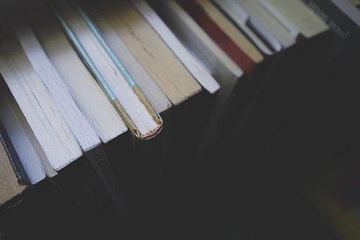 Libros organizados en fila dentro de un estand.