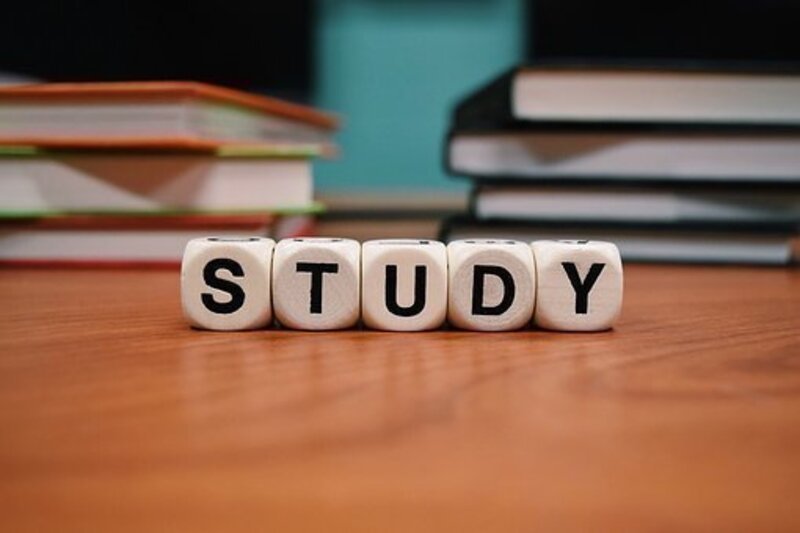 Se encuentran varios libros, una cajita azul y unas fichas que forman la palabra "study".