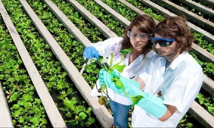 Dos estudiantes en un cultivo