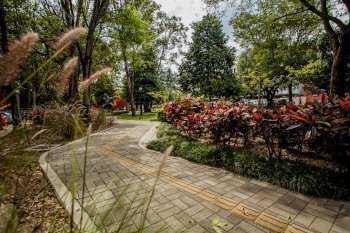 La UPB en ranking de universidades sostenibles