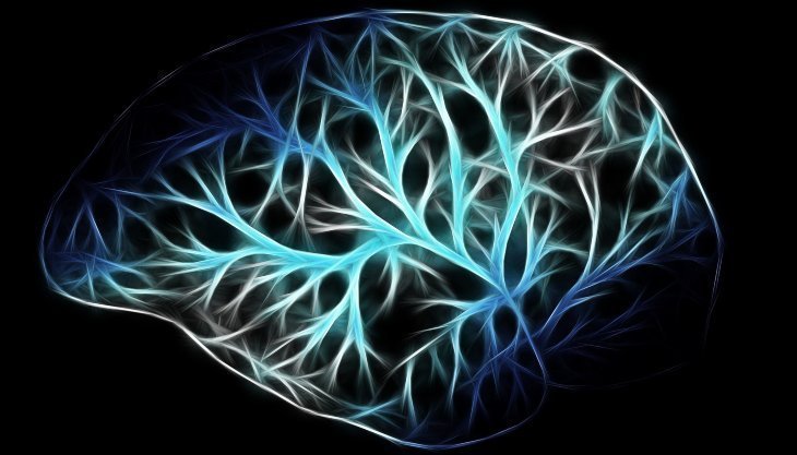 Ilustración de un cerebro en el que se ve una red neuronal