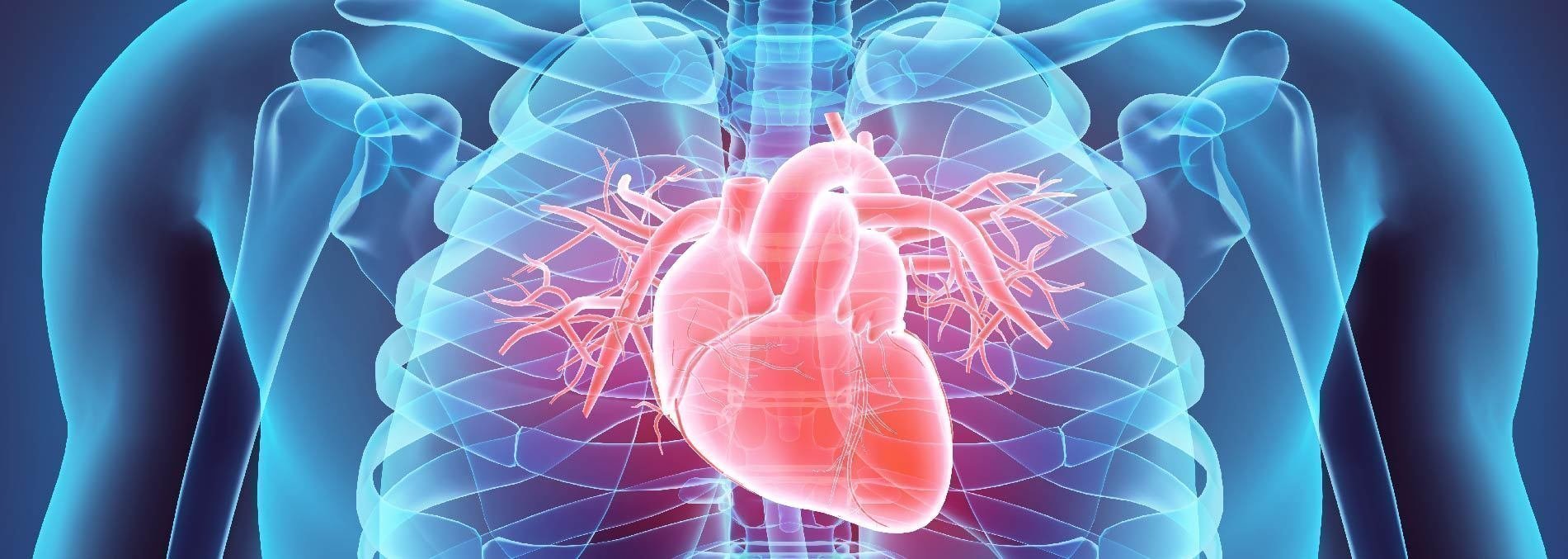 III Simposio de Enfermedades Cardiovasculares UPB - Clínica CardioVID: navegando por medio del conocimiento de las enfermedades cardiovasculares