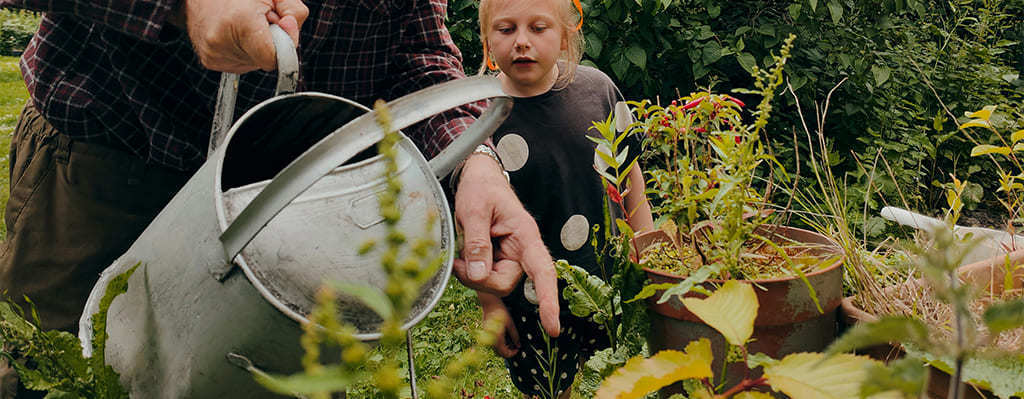 Taller Cultiva tu hogar