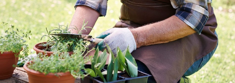 Taller de Jardinería