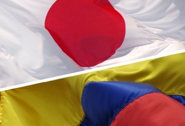 Tipo D Visión Global Colombia Japon