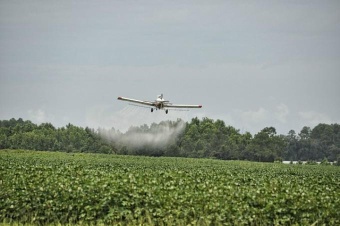 Pese a ser la práctica más usual, los agroquímicos provocan mayor resistencia en plagas.