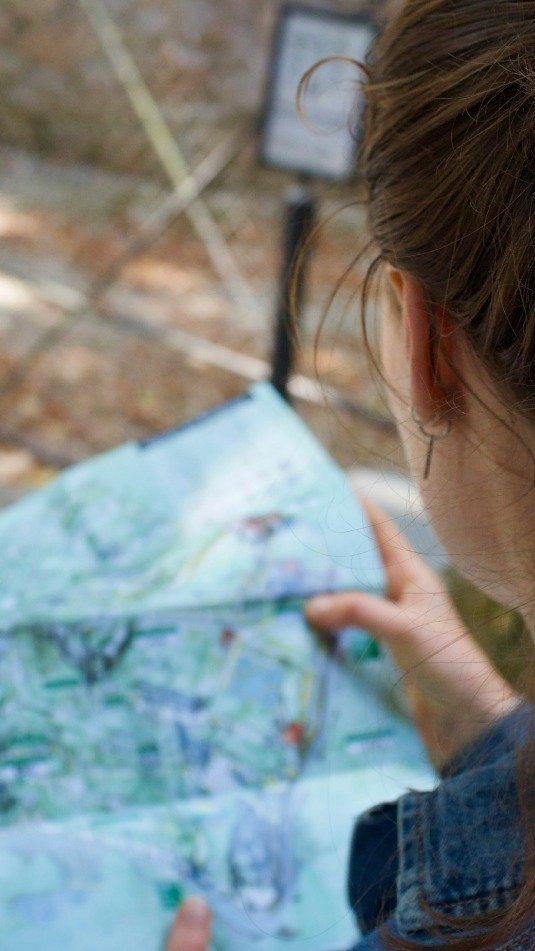 Una persona observa un mapa mientras viaja.