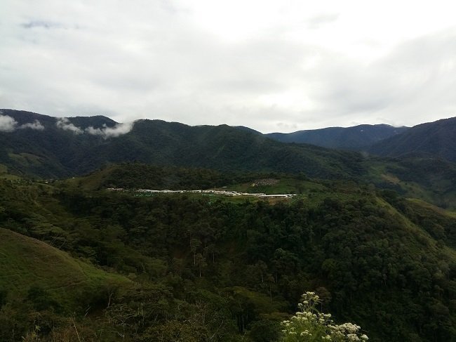 Llano Grande, Zona Veredal Transitoria de Normalización