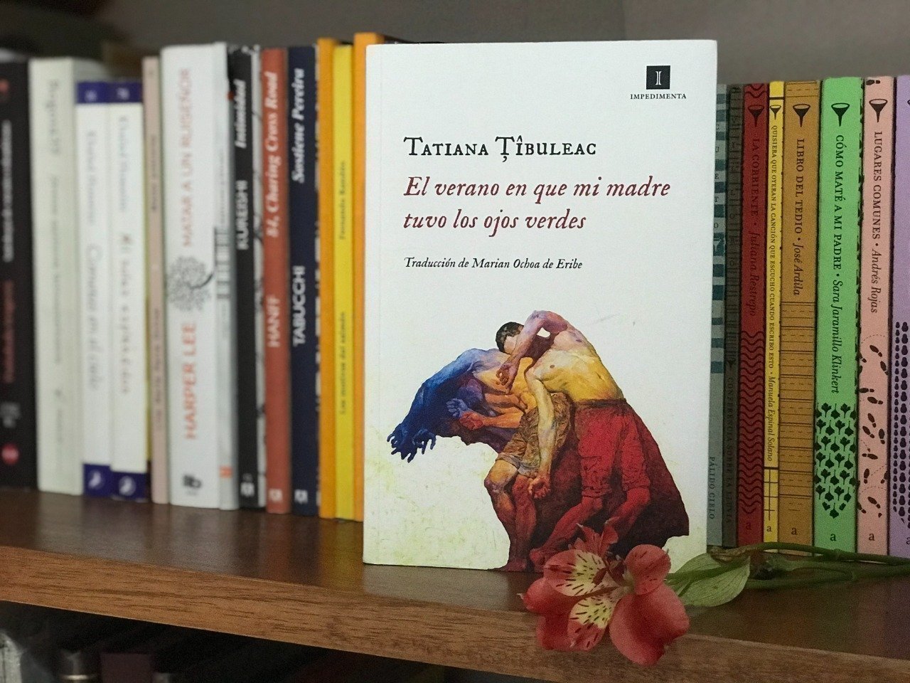 El verano en que mi madre tuvo los ojos verdes - Tatiana Țîbuleac