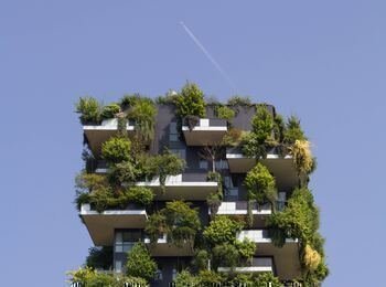 Catedra abierta ecologia urbana