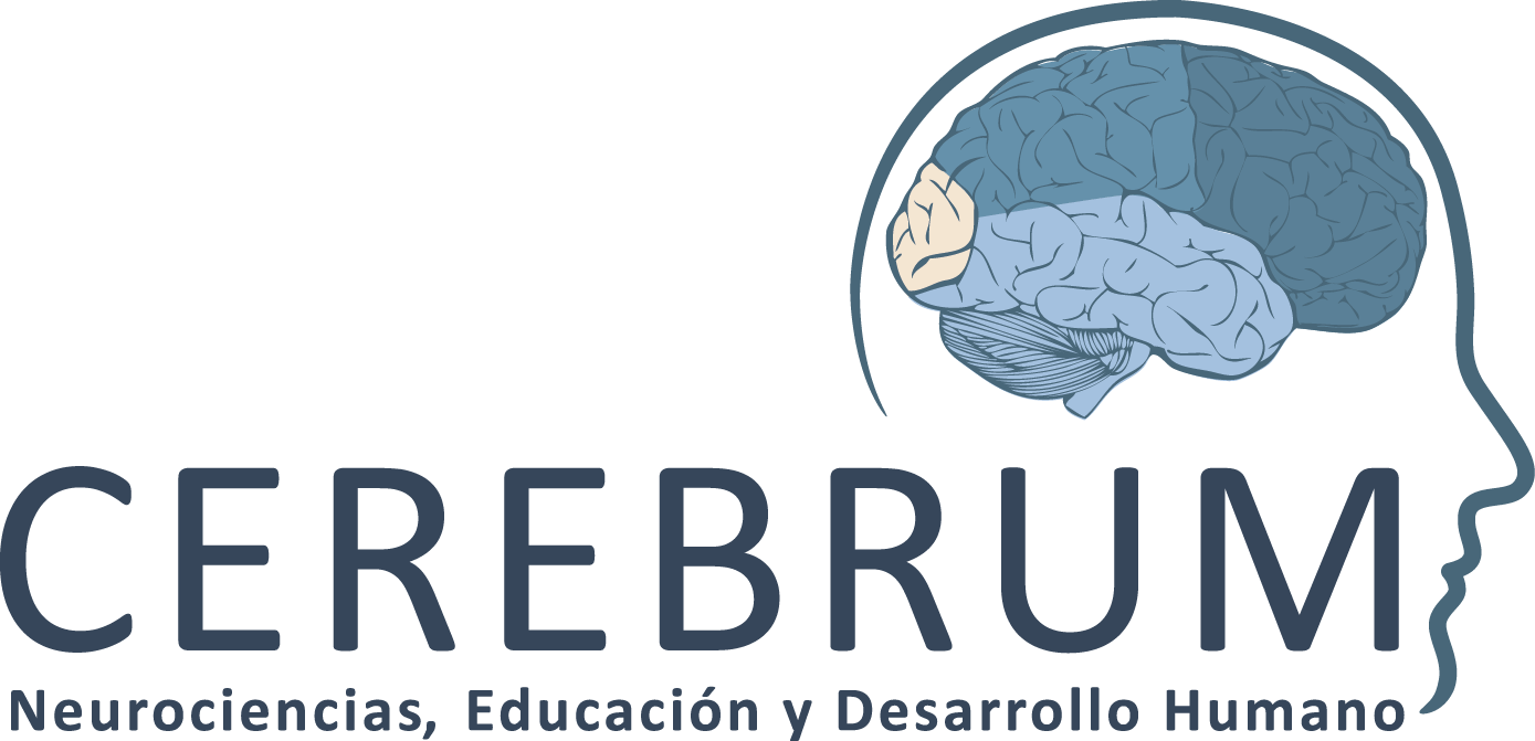 Cerebrum