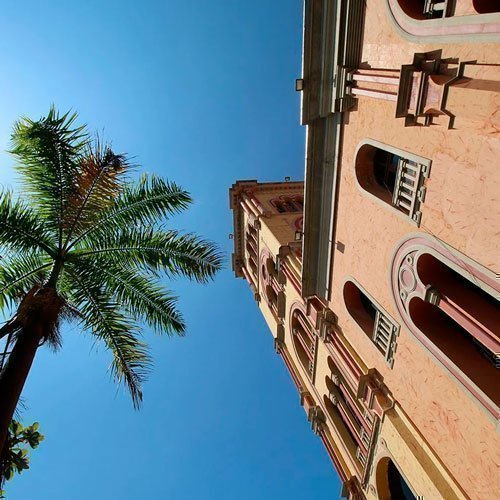 Foro de palmera y casa