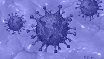 Coronavirus: qué debes saber