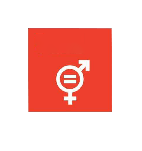 5. Lograr la igualdad de género